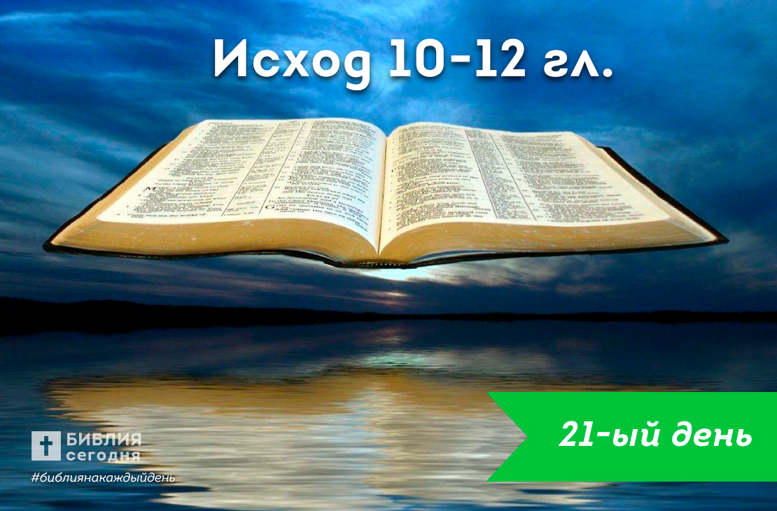 Исход 10-12 гл.