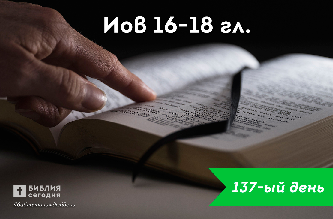 Иов 16-18 гл.
