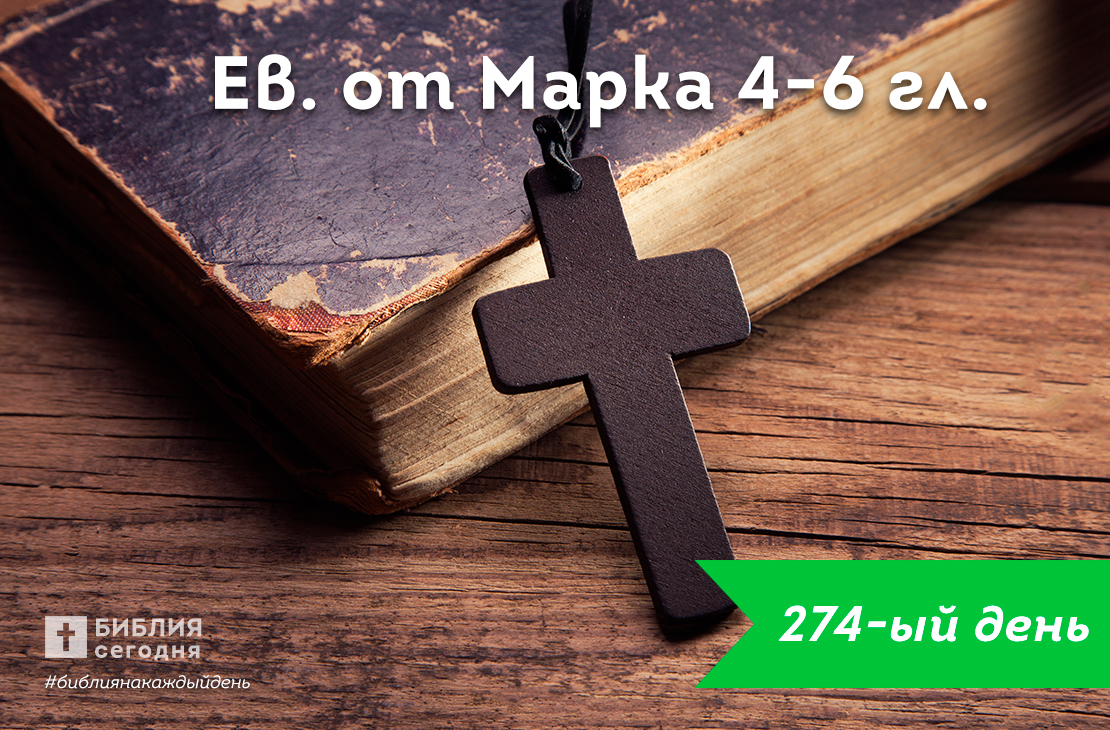 От Марка 4-6 гл.