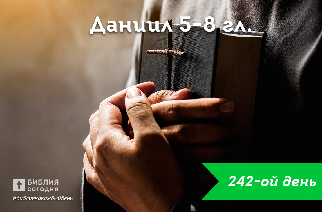 Даниил 5-8 гл.