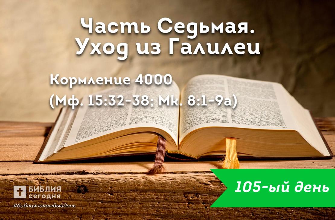 Кормление 4000